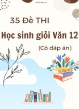 Bộ 35 Đề thi học sinh giỏi Văn 12 (Có đáp án)